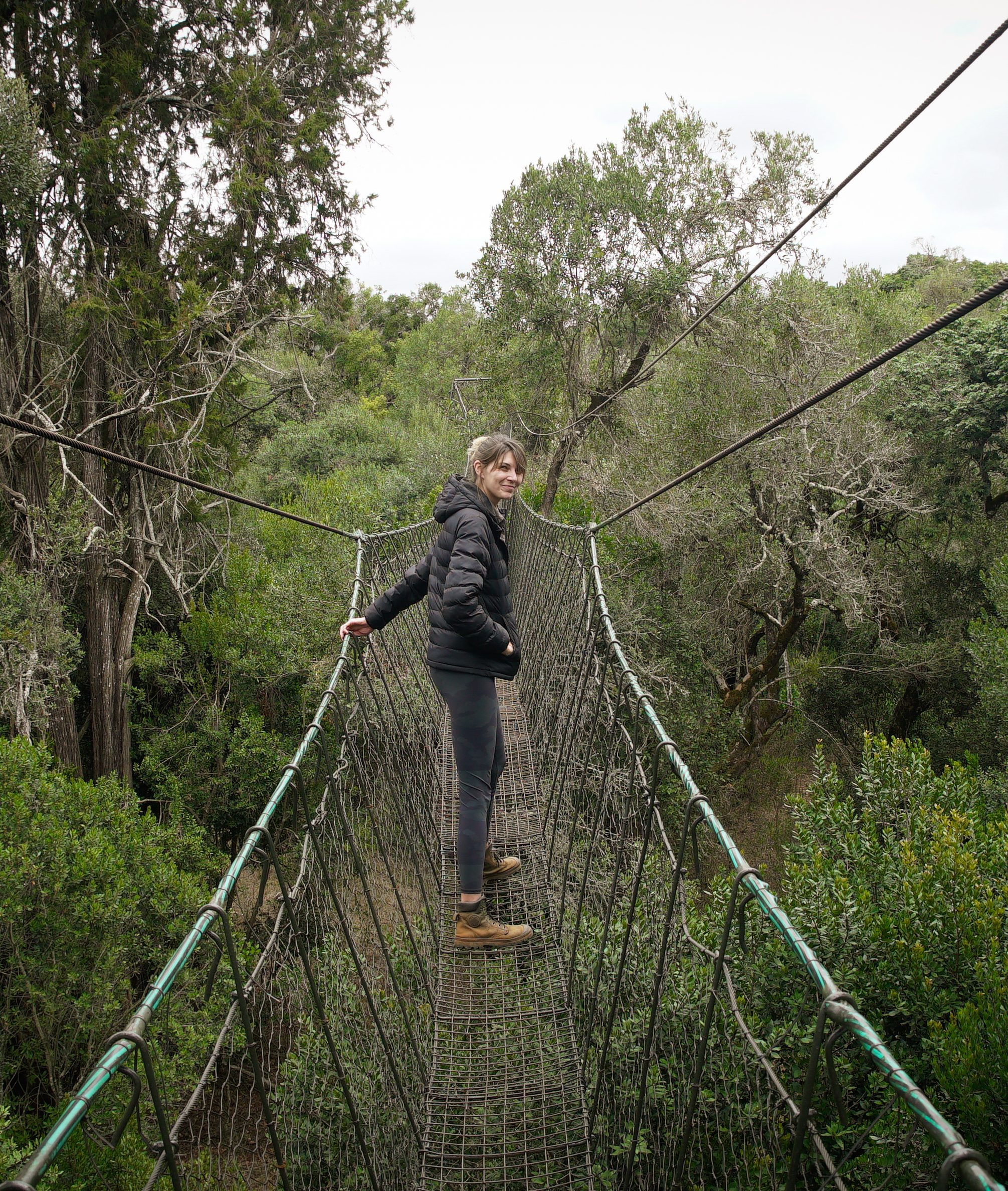 Han in Ngare Ndare forest, Kenya